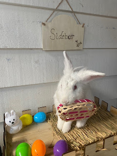 Sidebar the Rescue Rabbit